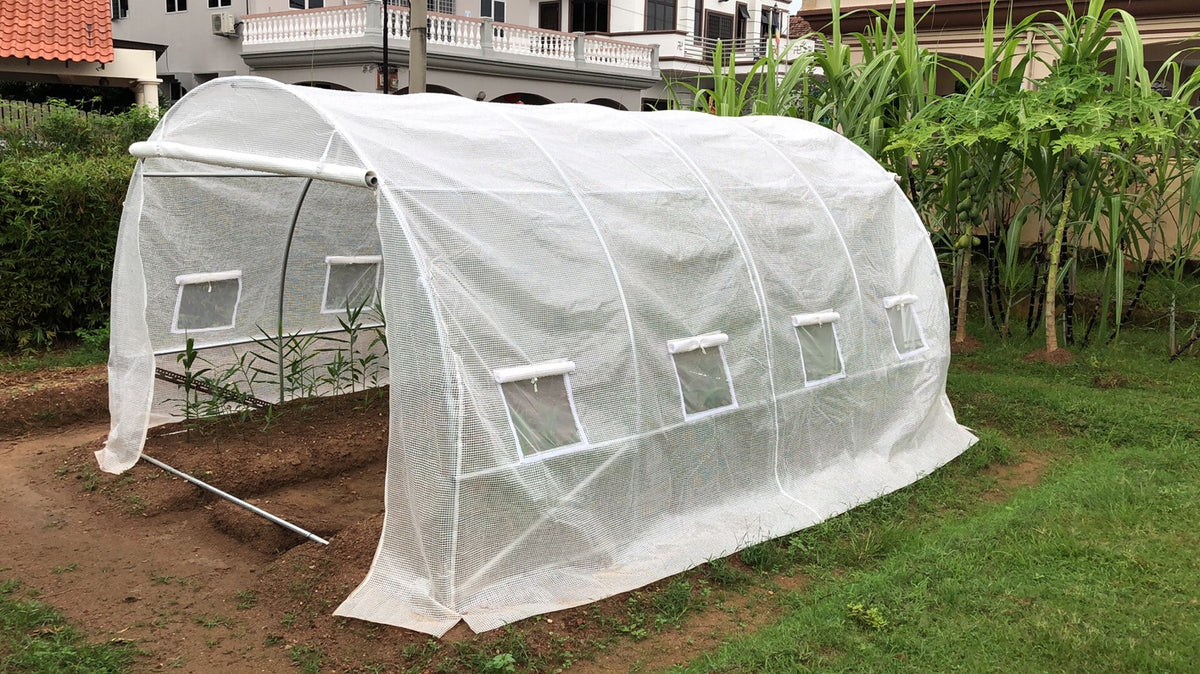 Litgrow Walk in Greenhouse - Plant Grow Tents Steel Frame Garden Backyard Outdoor Gardening aHouse with Doors(Steel Shelf+ PE White Cover. Pipe Diameter 25mm) PE Cover +Sheel Frame